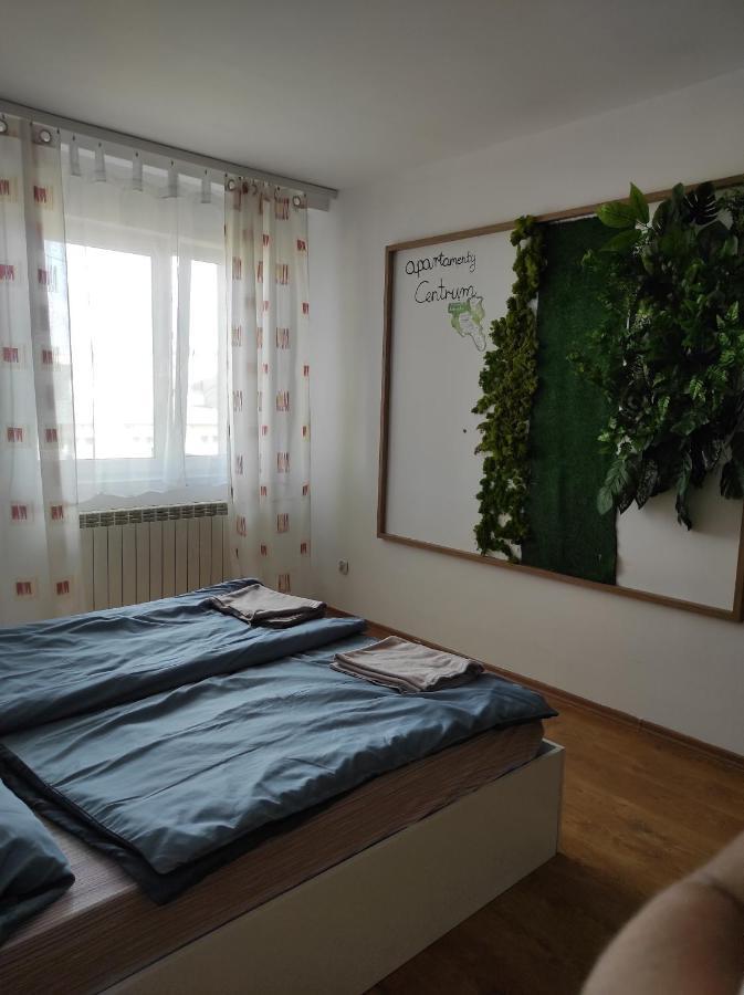 Apartment Centrum Waldenburg